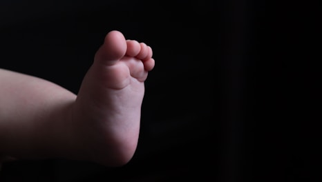 Fertility at the Crossroads: South Korea's Struggle with Demographic Transformation