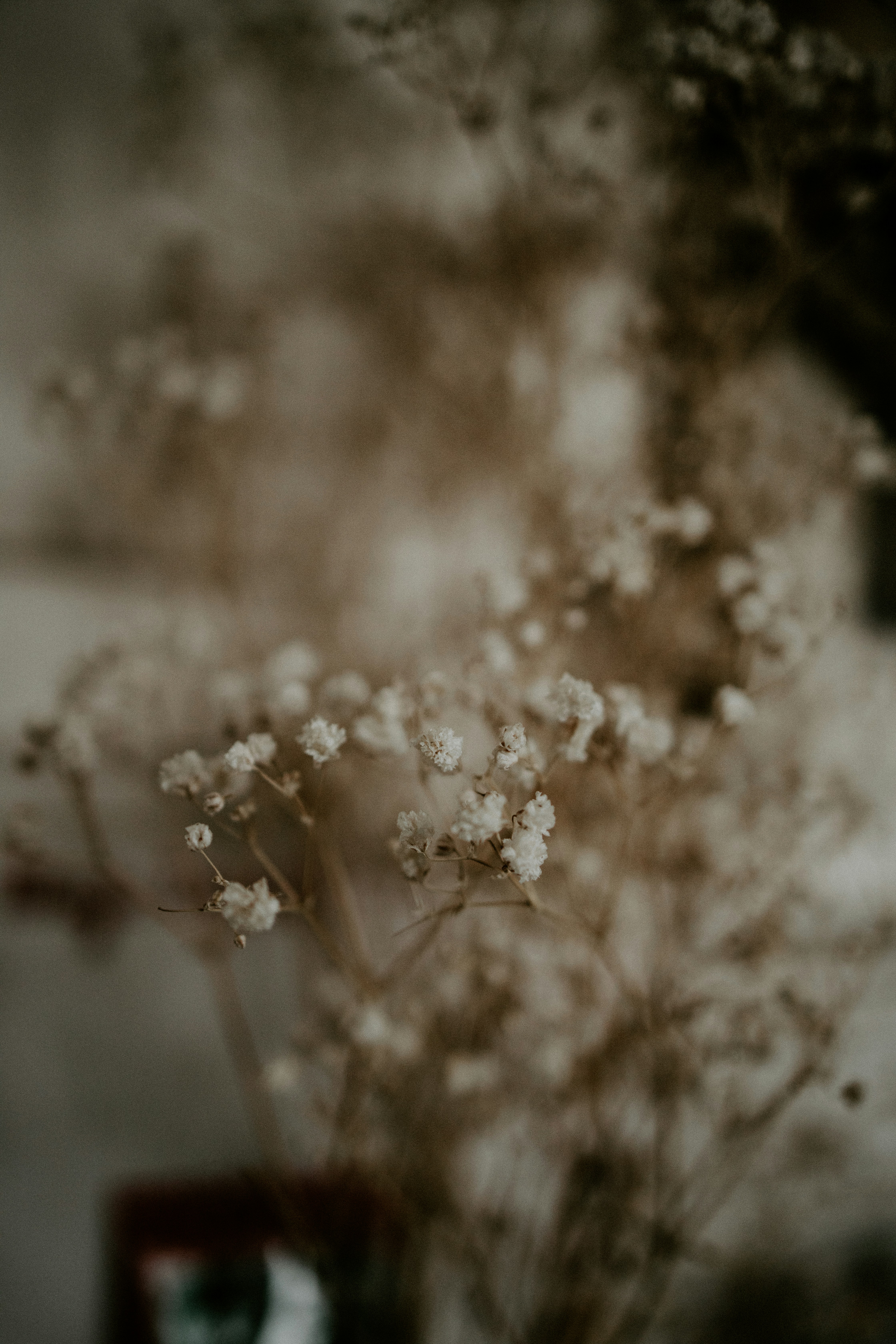 Photo by luismorerat