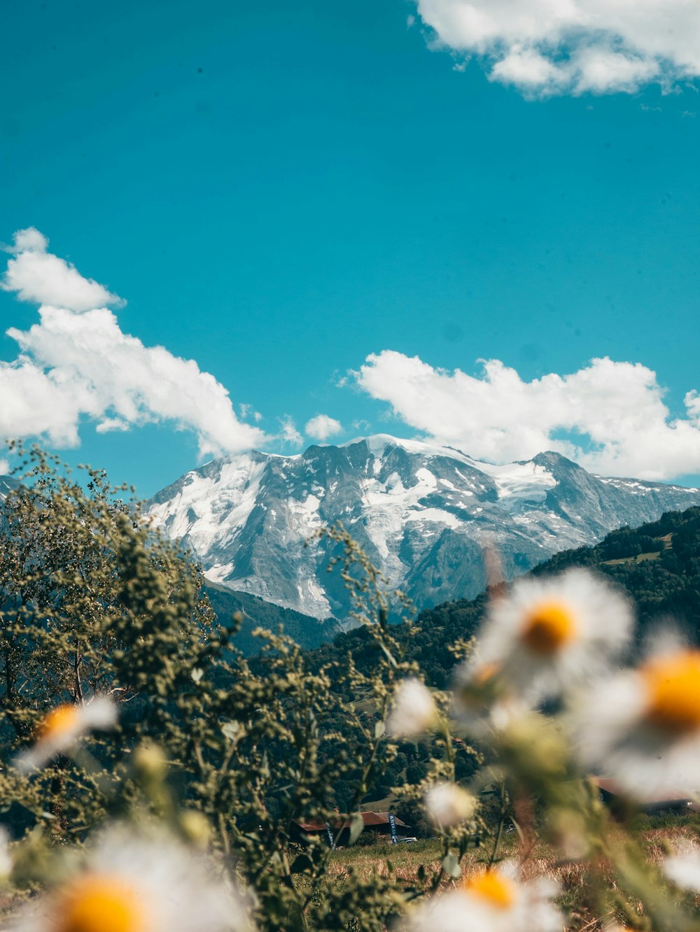 昼間の青空に緑の木々と山