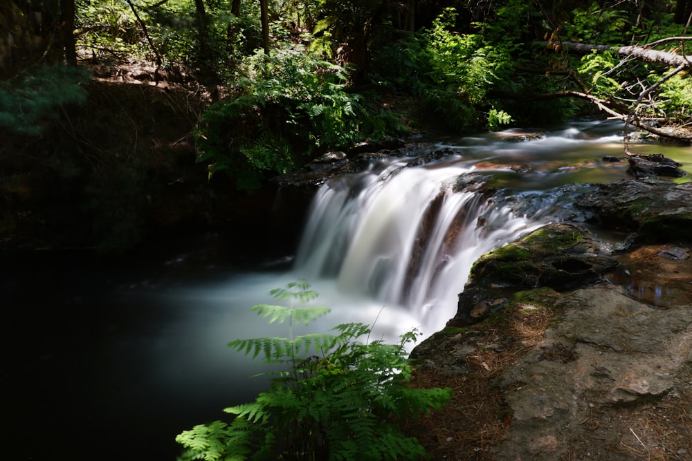 time lapse photography of water falls