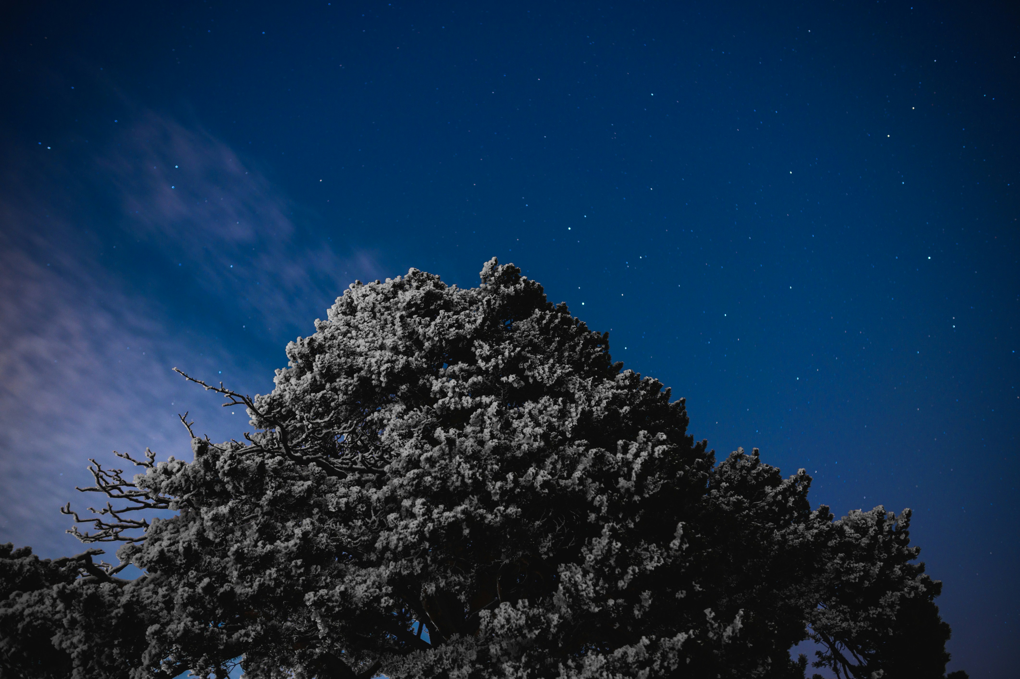 Photo by theoeilertsen