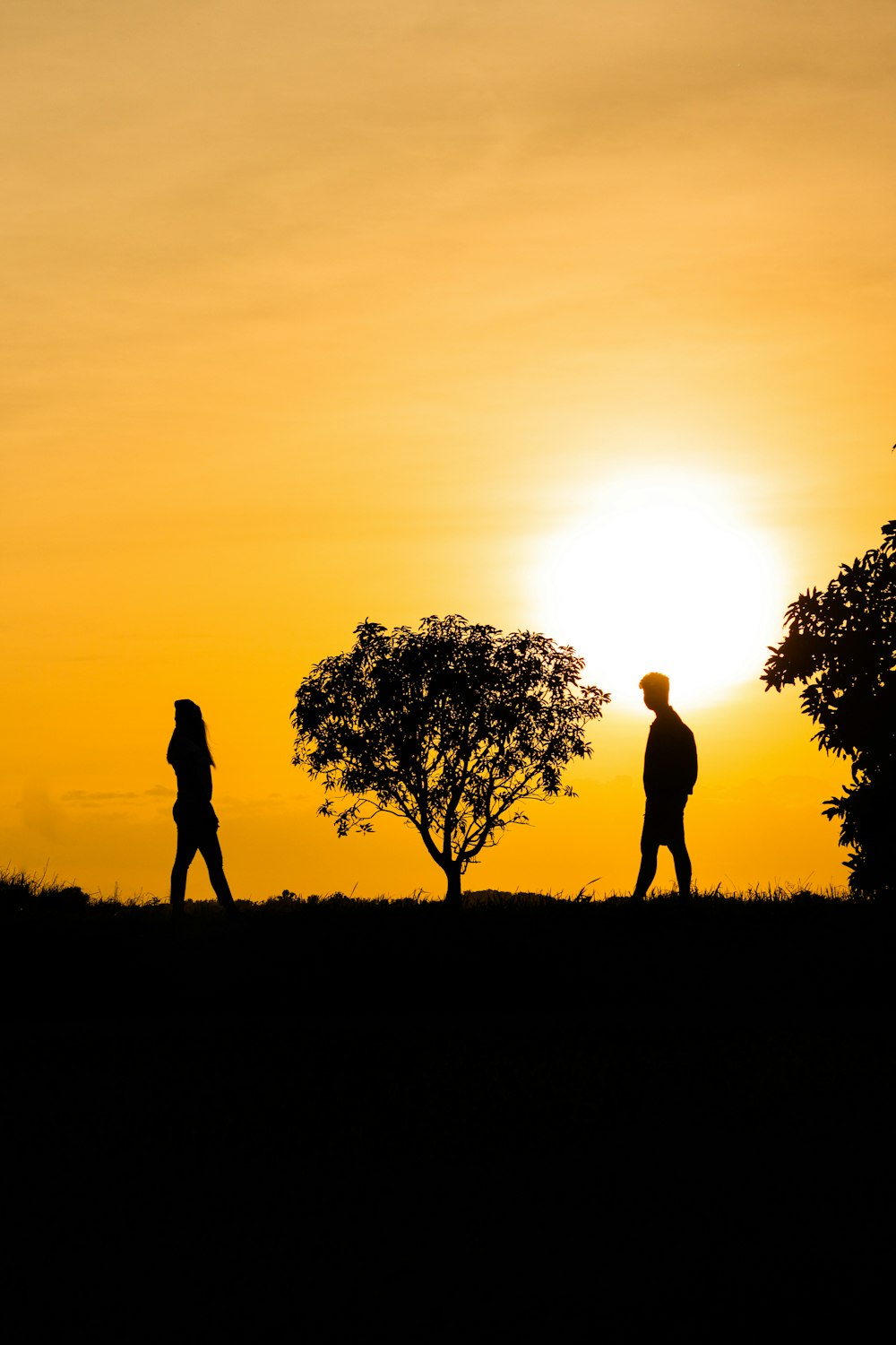 silhouette of 2 person standing on grass field during sunset