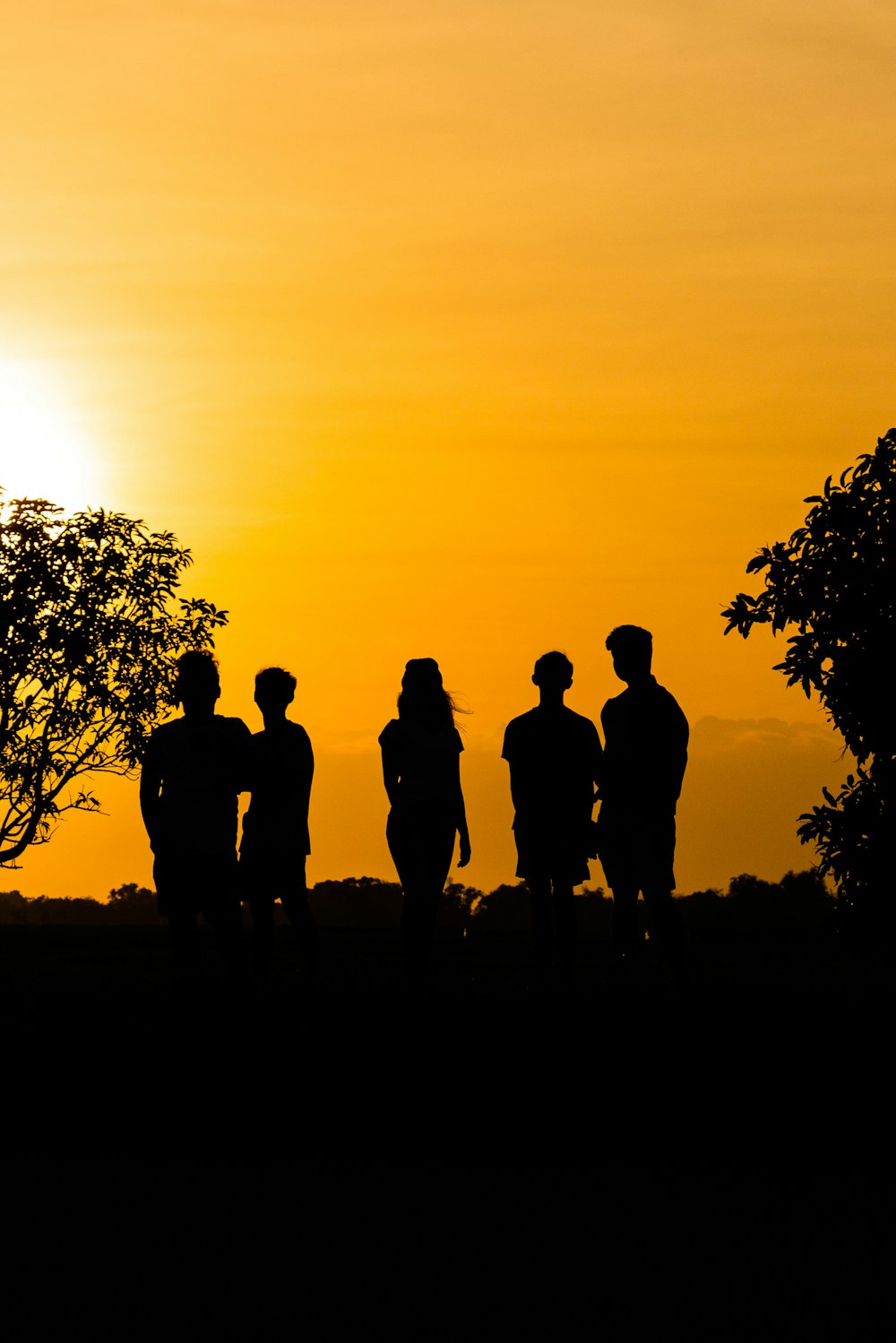 silhouette of 3 men standing near tree during sunset