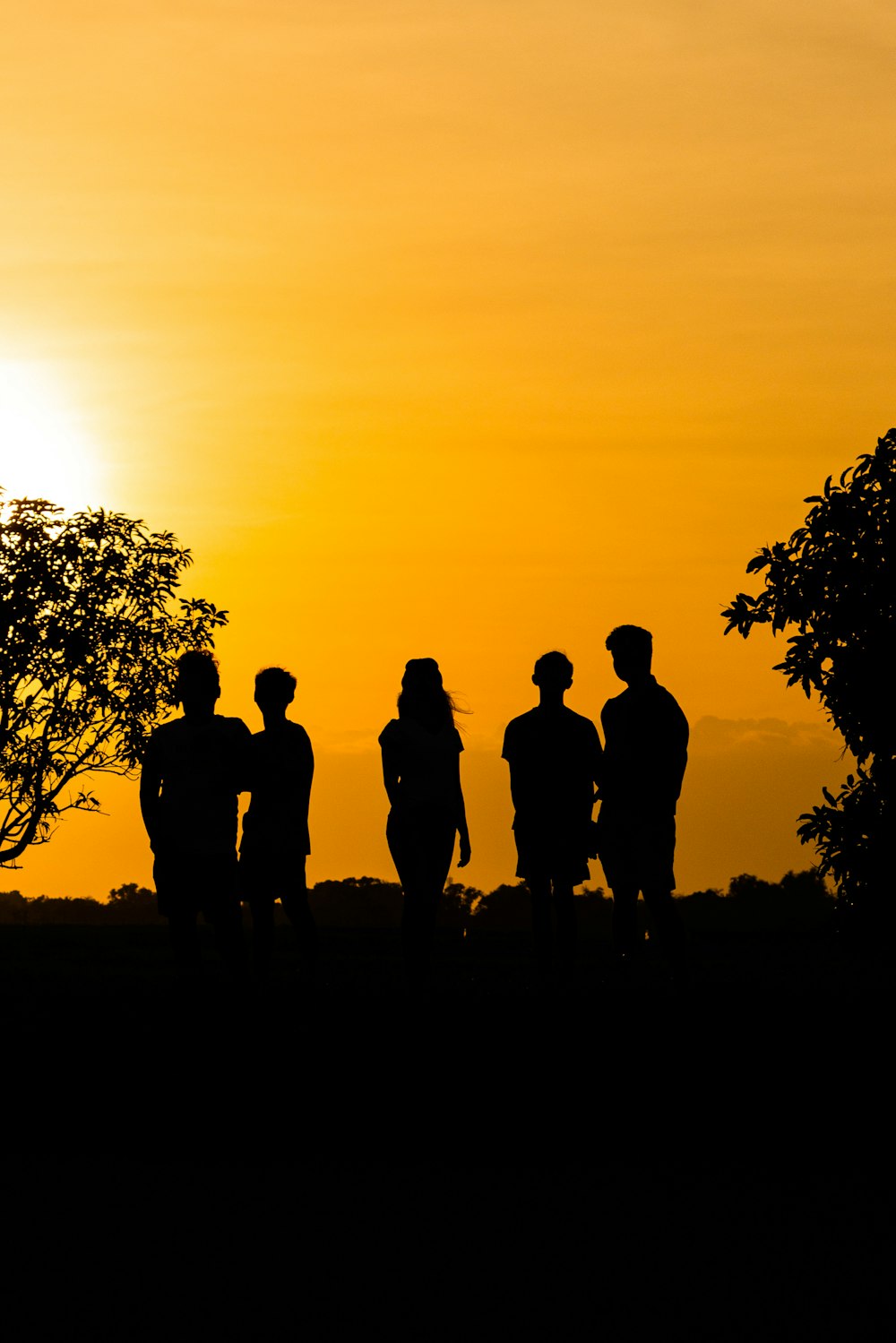 Silueta de 3 hombres de pie cerca del árbol durante la puesta del sol