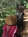 A person wearing a traditional woven hat rides on an elephant through a forested area. Two other individuals are seated on another elephant, visible ahead on a dirt path surrounded by tall trees and greenery.