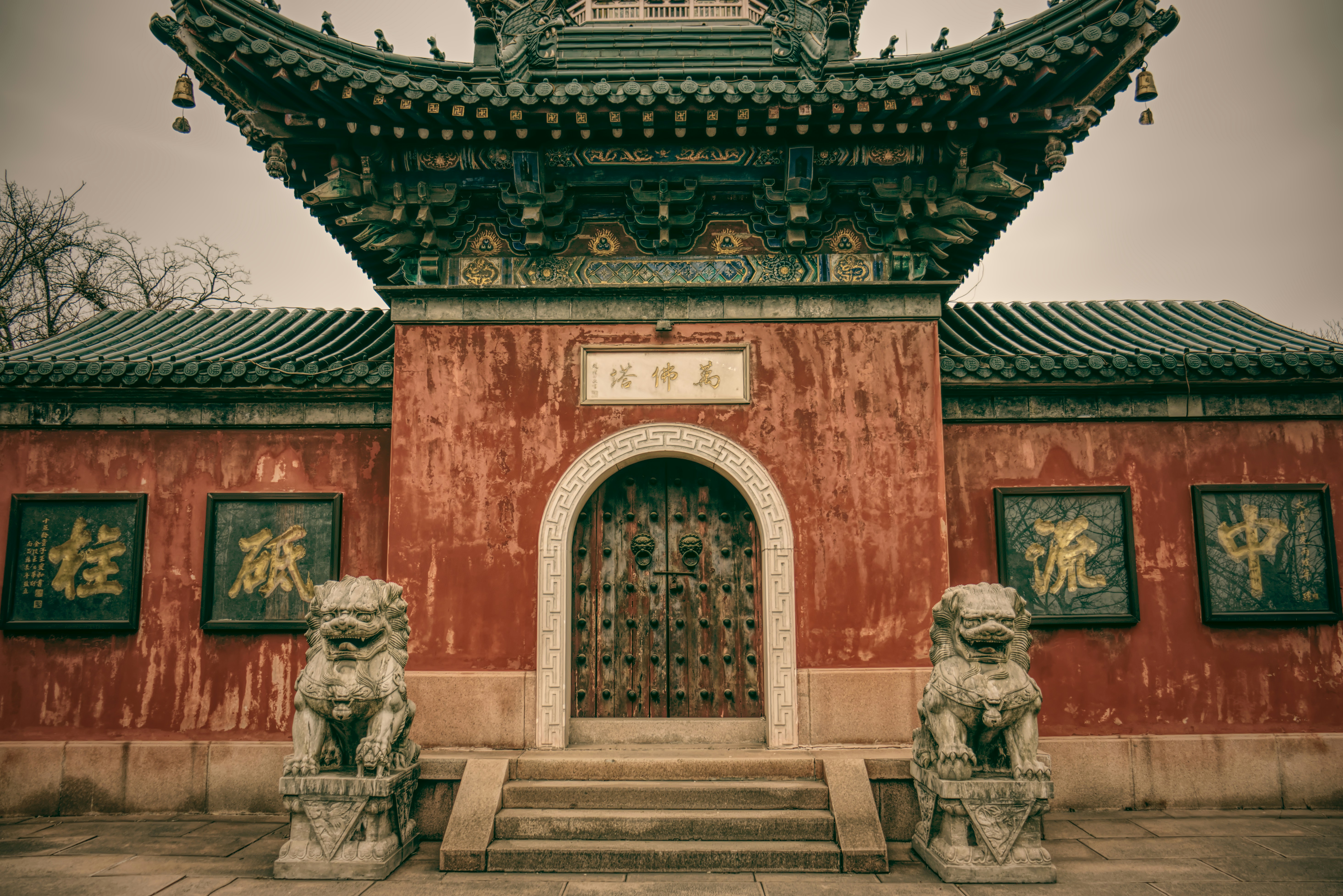 Photo by toyamakanna