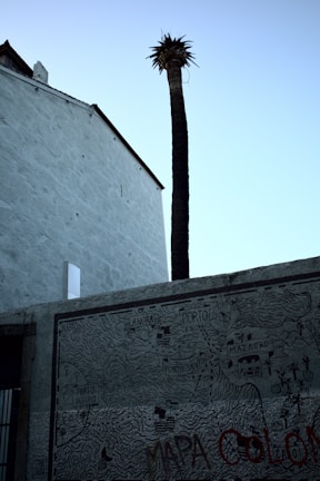 A tall palm tree stands in front of a white building with a sloped roof. A map with inscriptions and drawings, including ships and place names like 'Porto Santo' and 'Mazagao', covers a wall in the foreground. The sky is clear and blue.