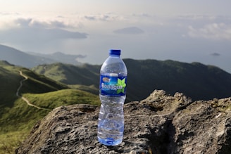blue labeled bottled water on brown rock