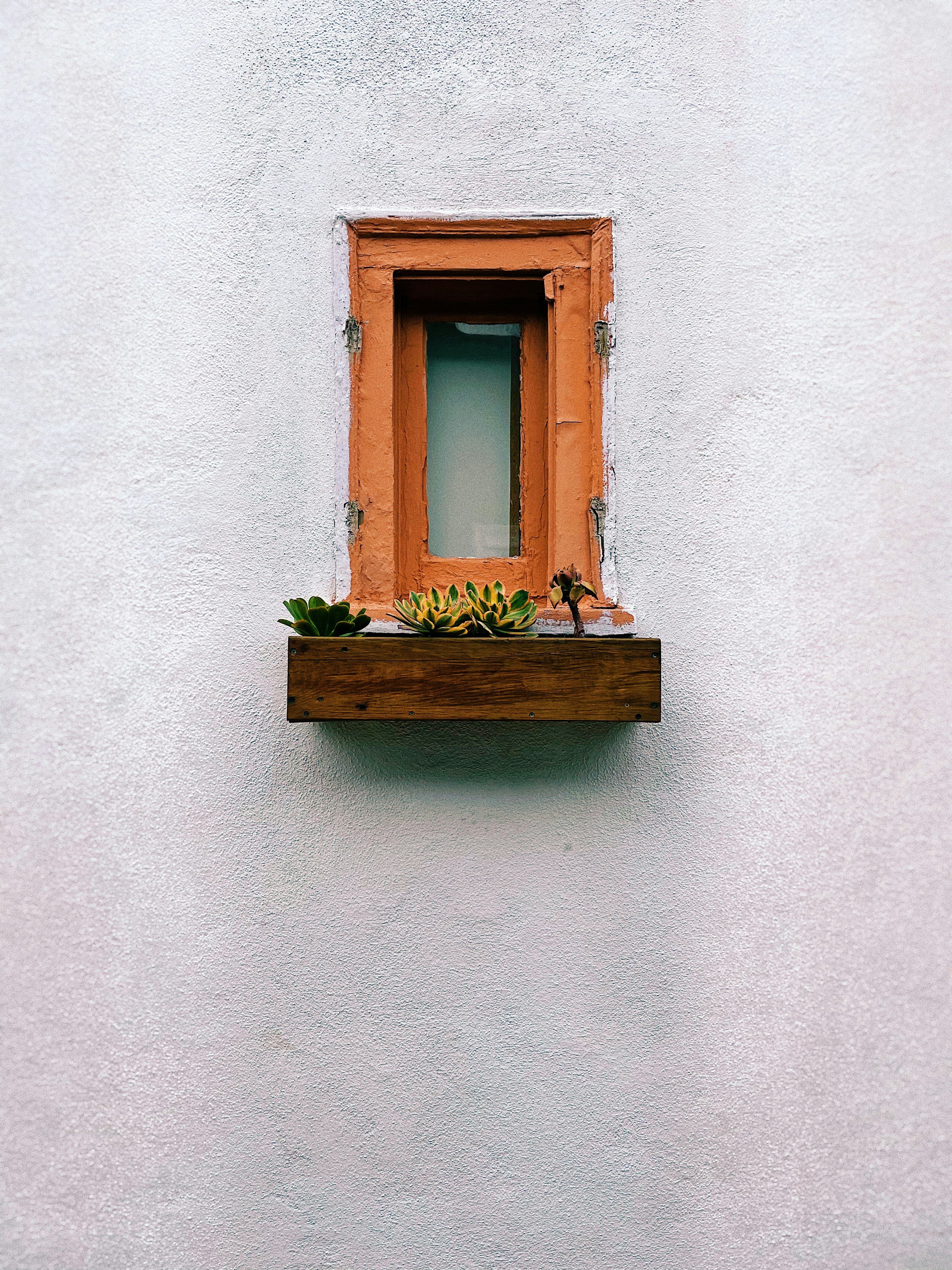 Photo by andrew_gwiz