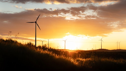 wind turbines on green grass field during sunset