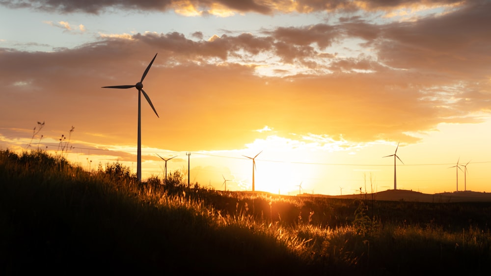 wind turbines on green grass field during sunset