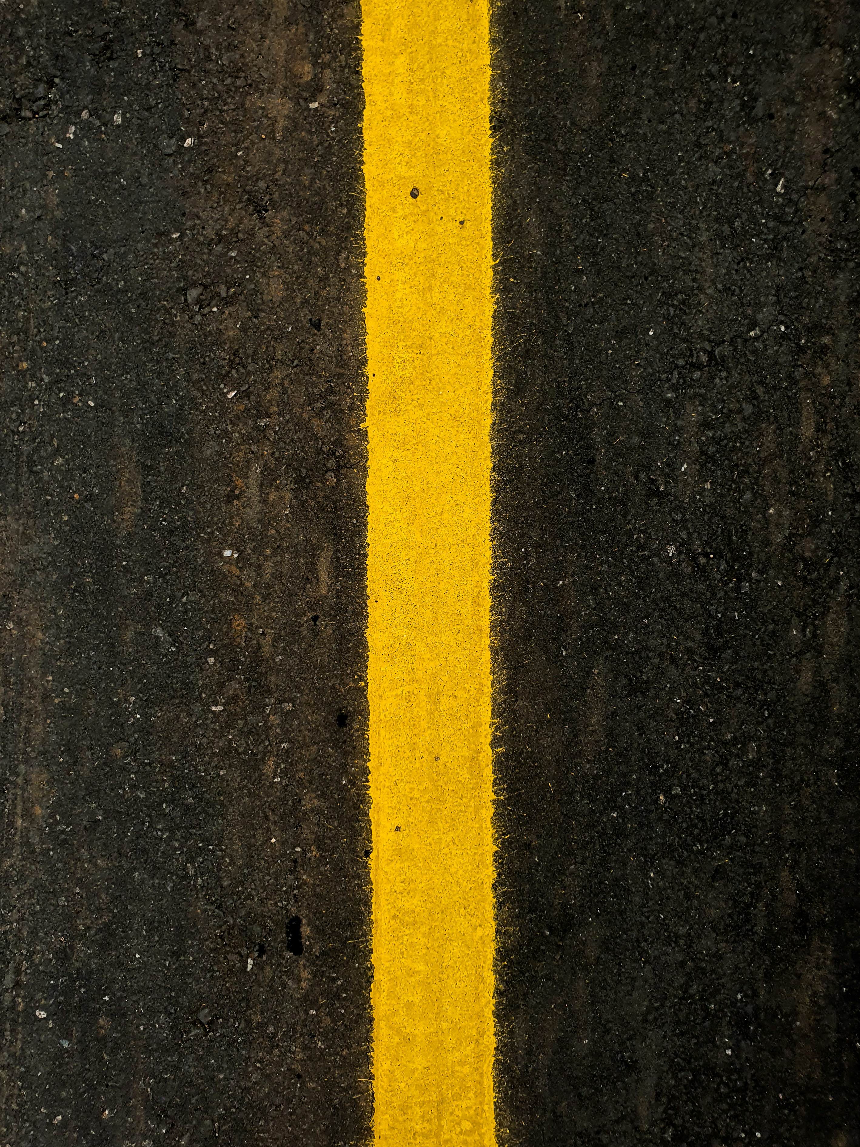 Photo by pedro_henrique