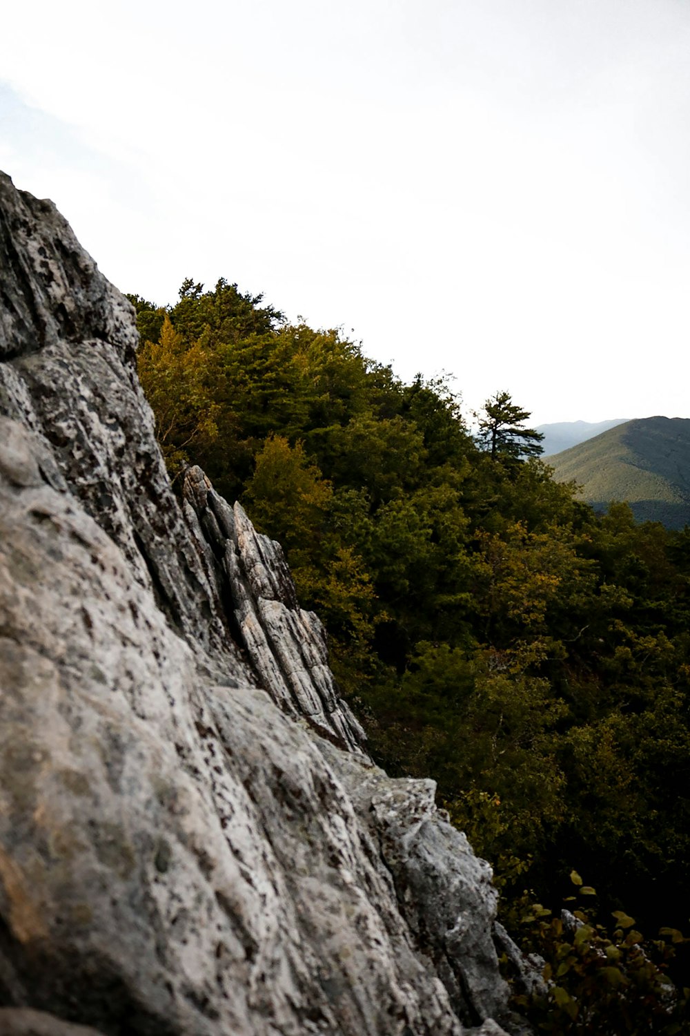 green trees on gray rocky mountain during daytime