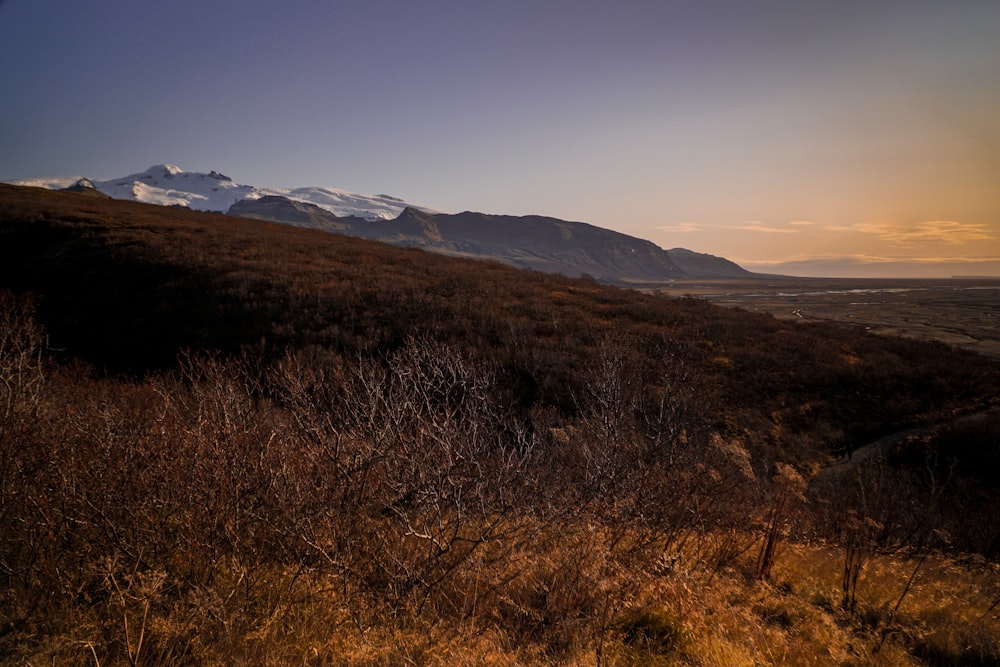 brown grass field near mountains under blue sky during daytime