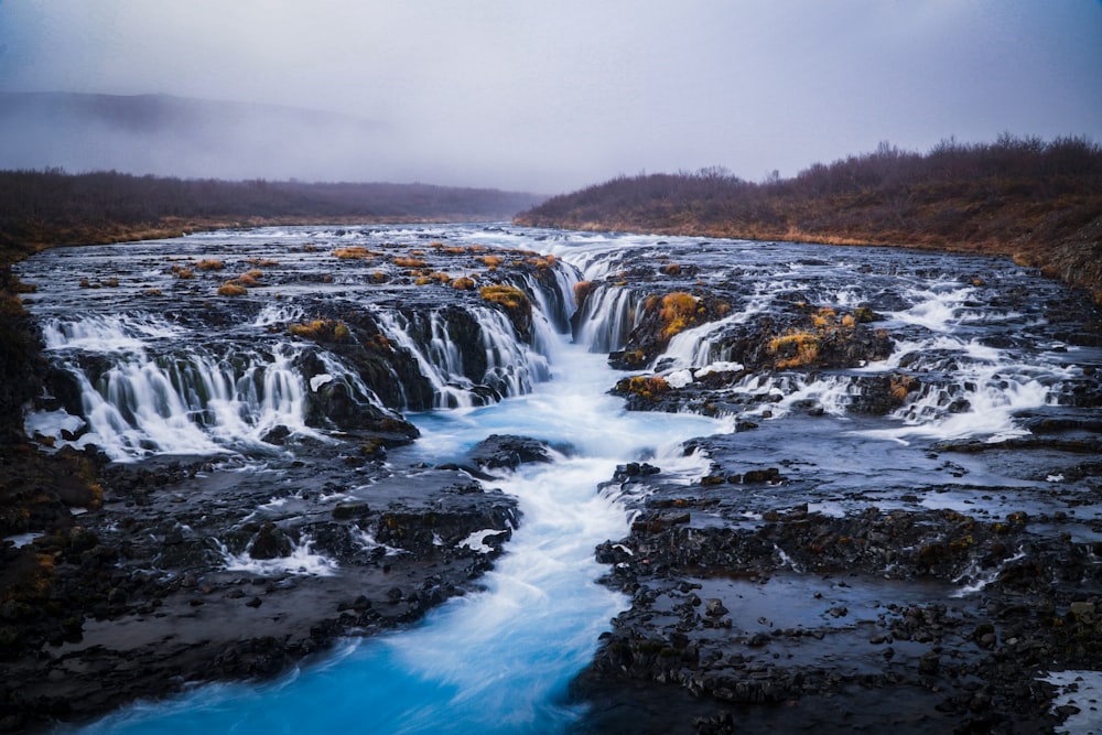 water falls in the middle of the forest