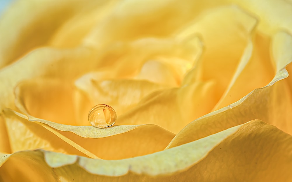 gold ring on yellow textile