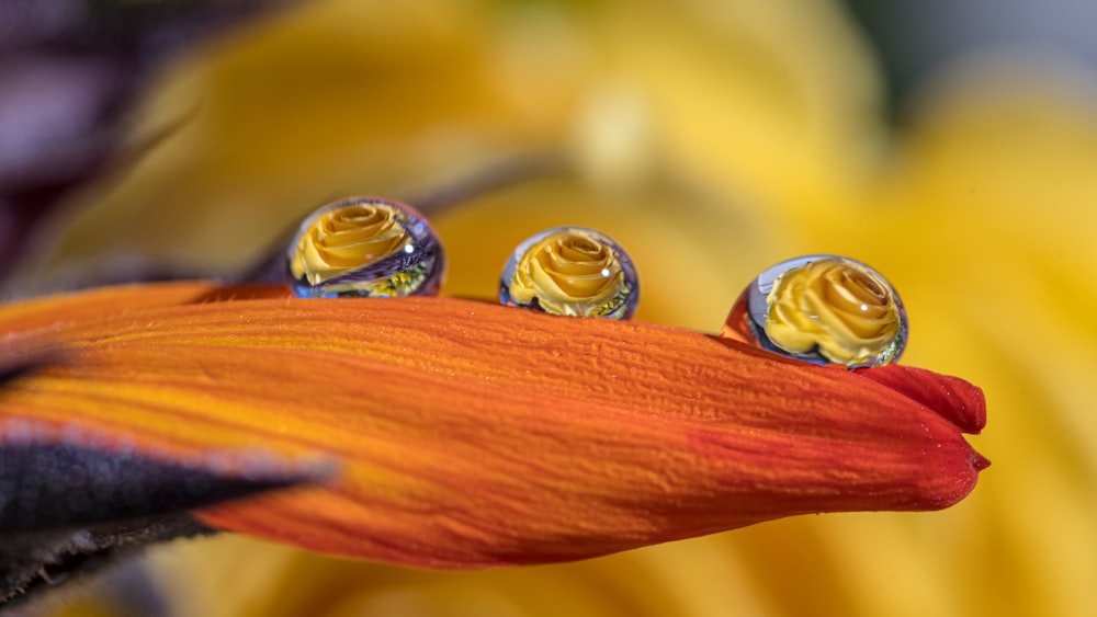 gold and silver round coins