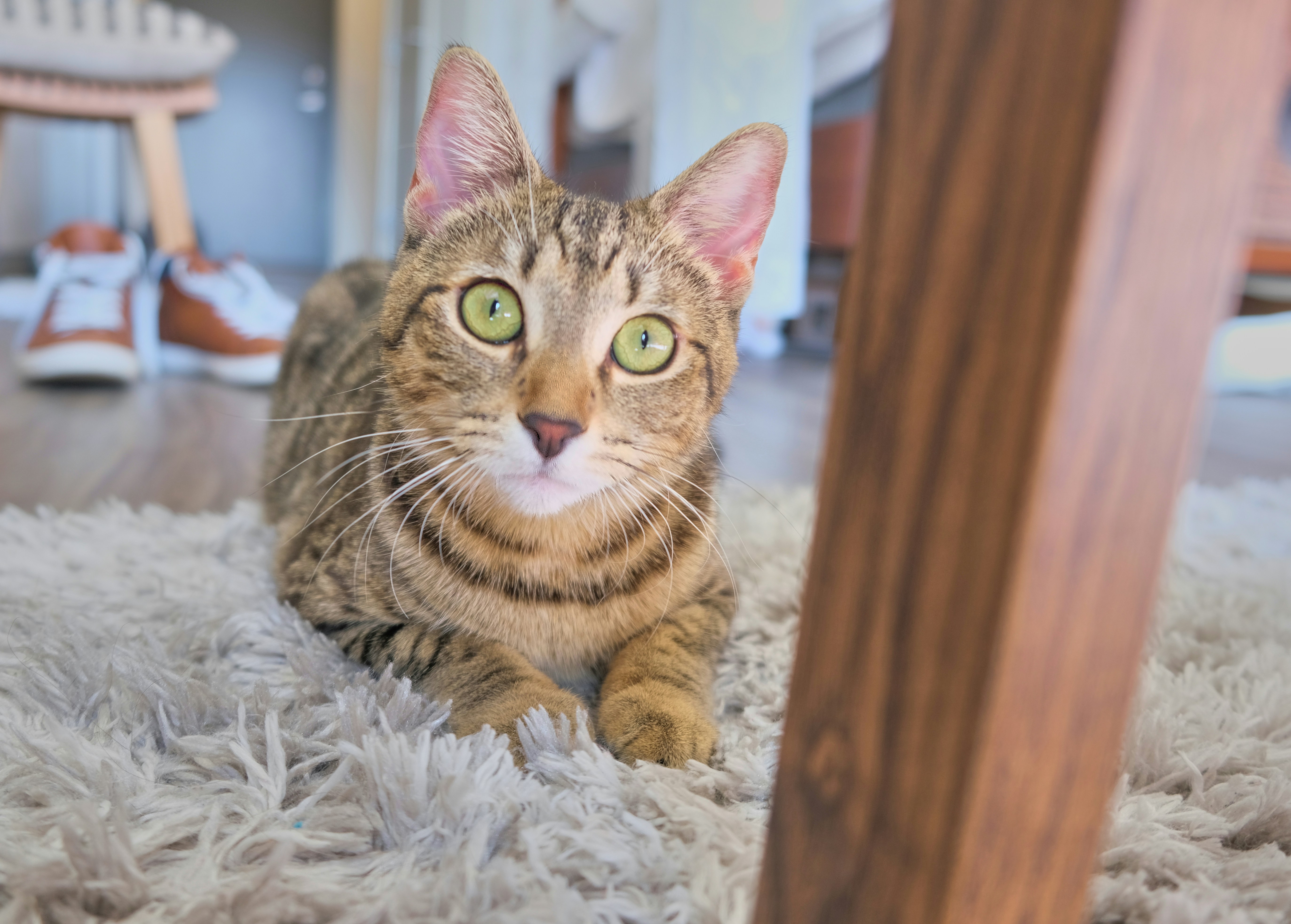 Photo by toastbusters