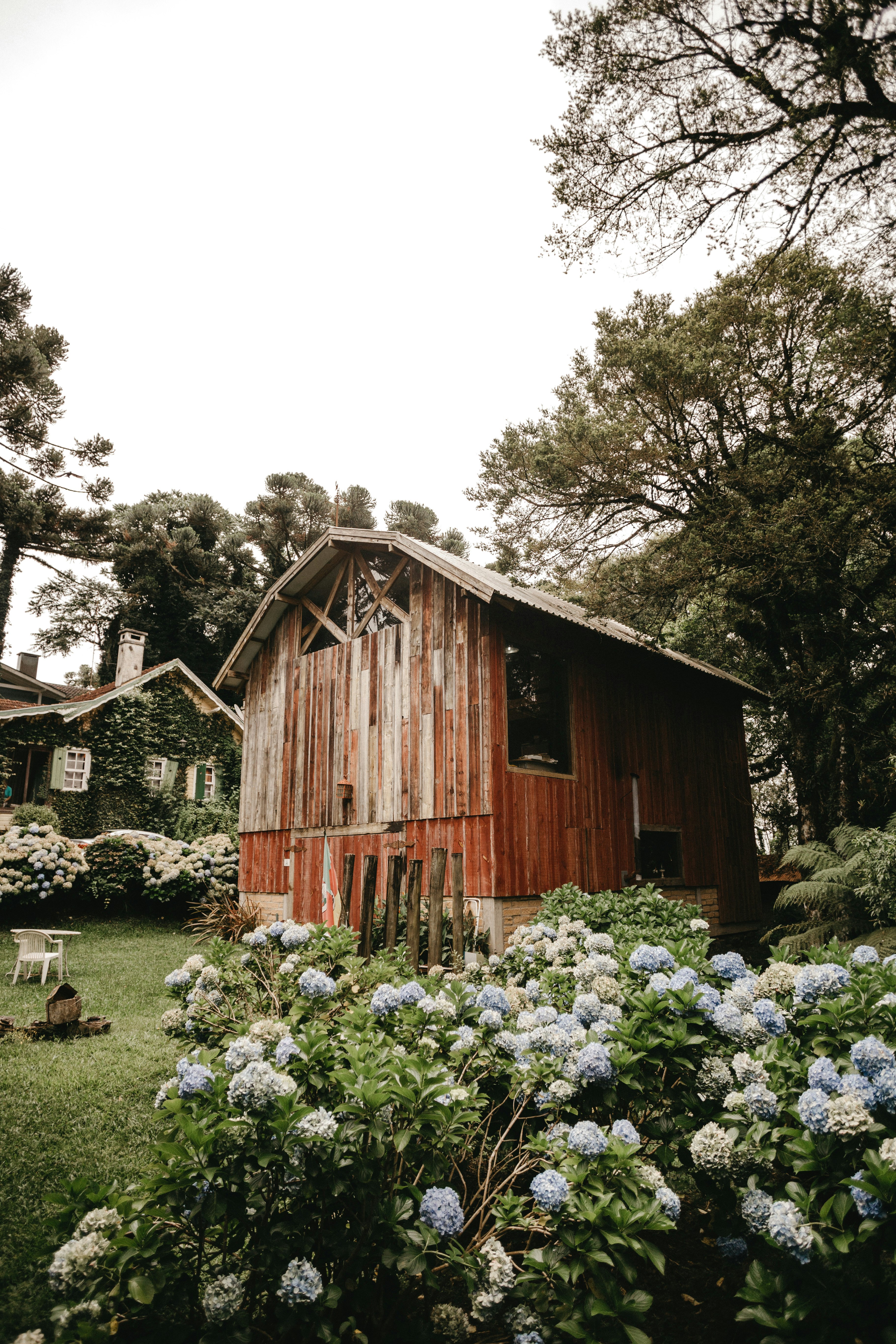 brown wooden house surrounded by trees