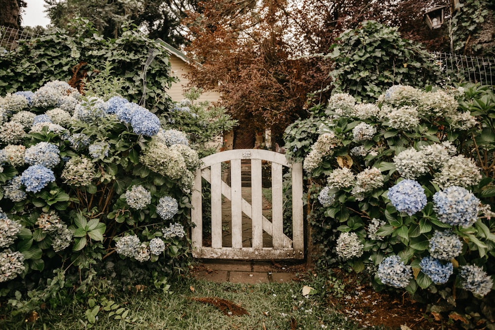 보라색 꽃 옆에 갈색 나무 의자