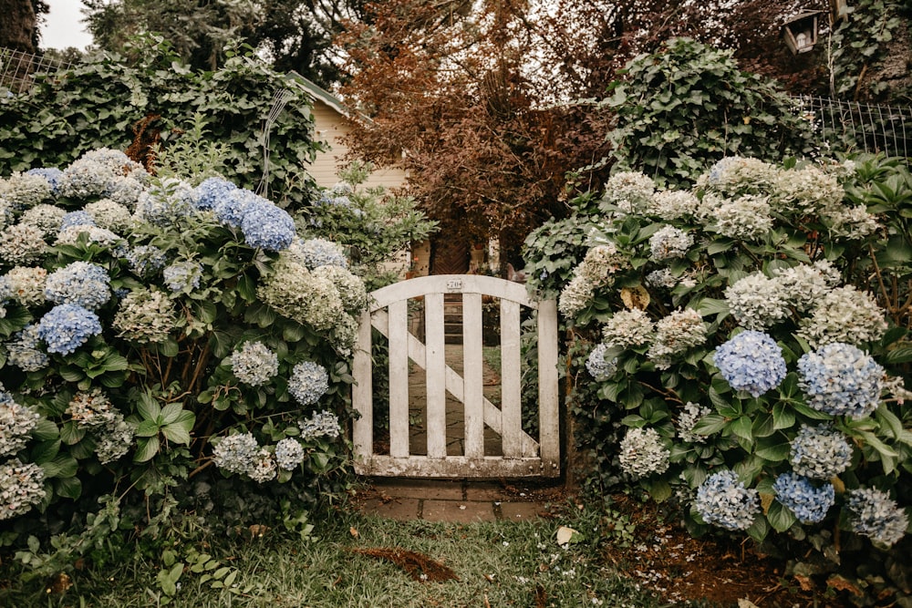 Silla de madera marrón junto a flores moradas