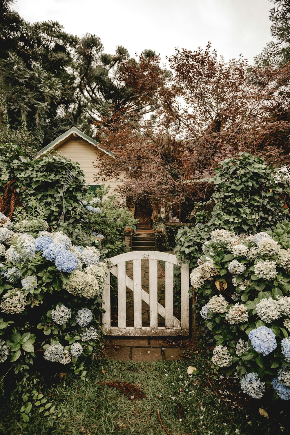 Casa de madera blanca y marrón rodeada de árboles verdes