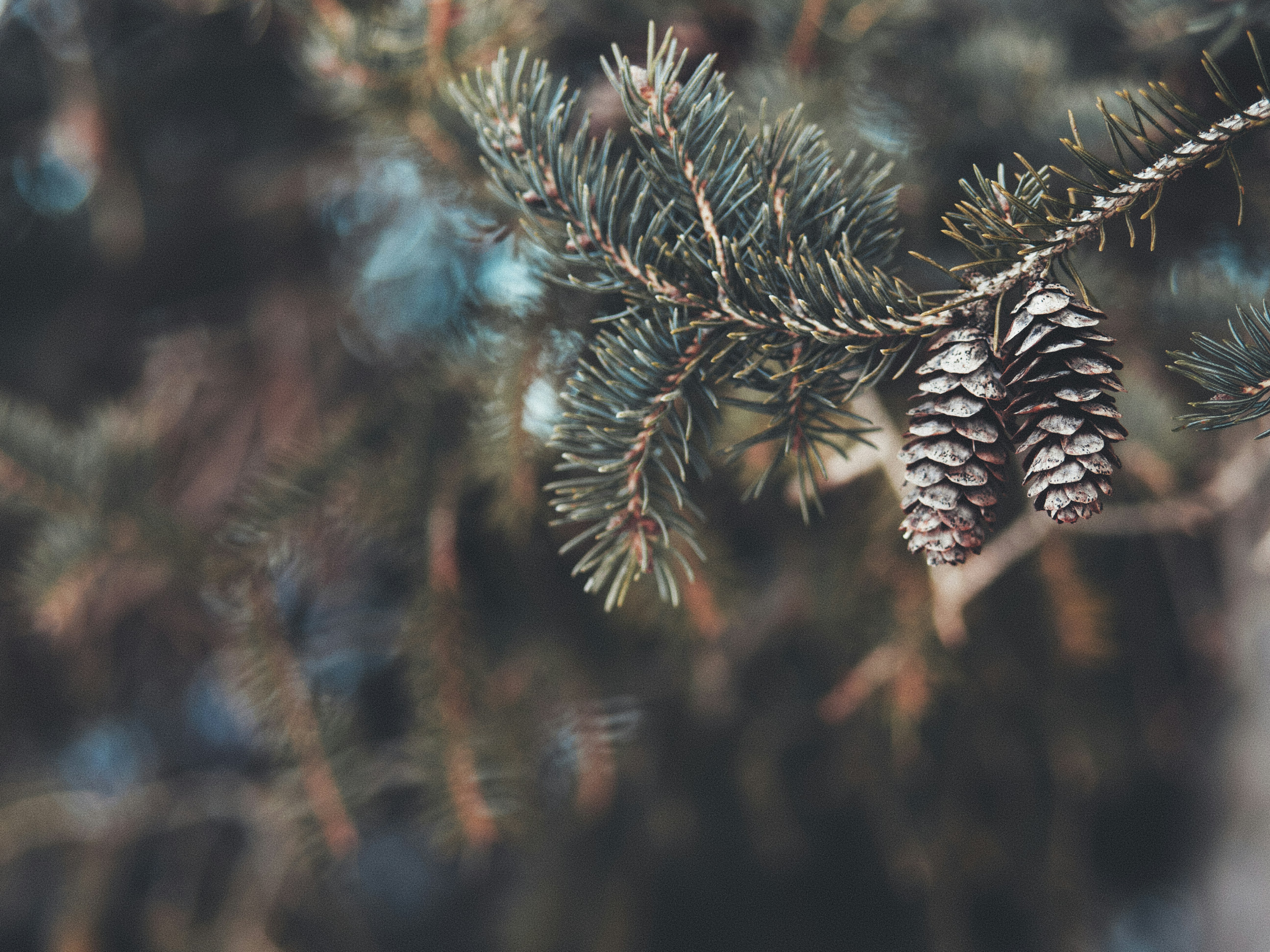 Photo by aaronburden