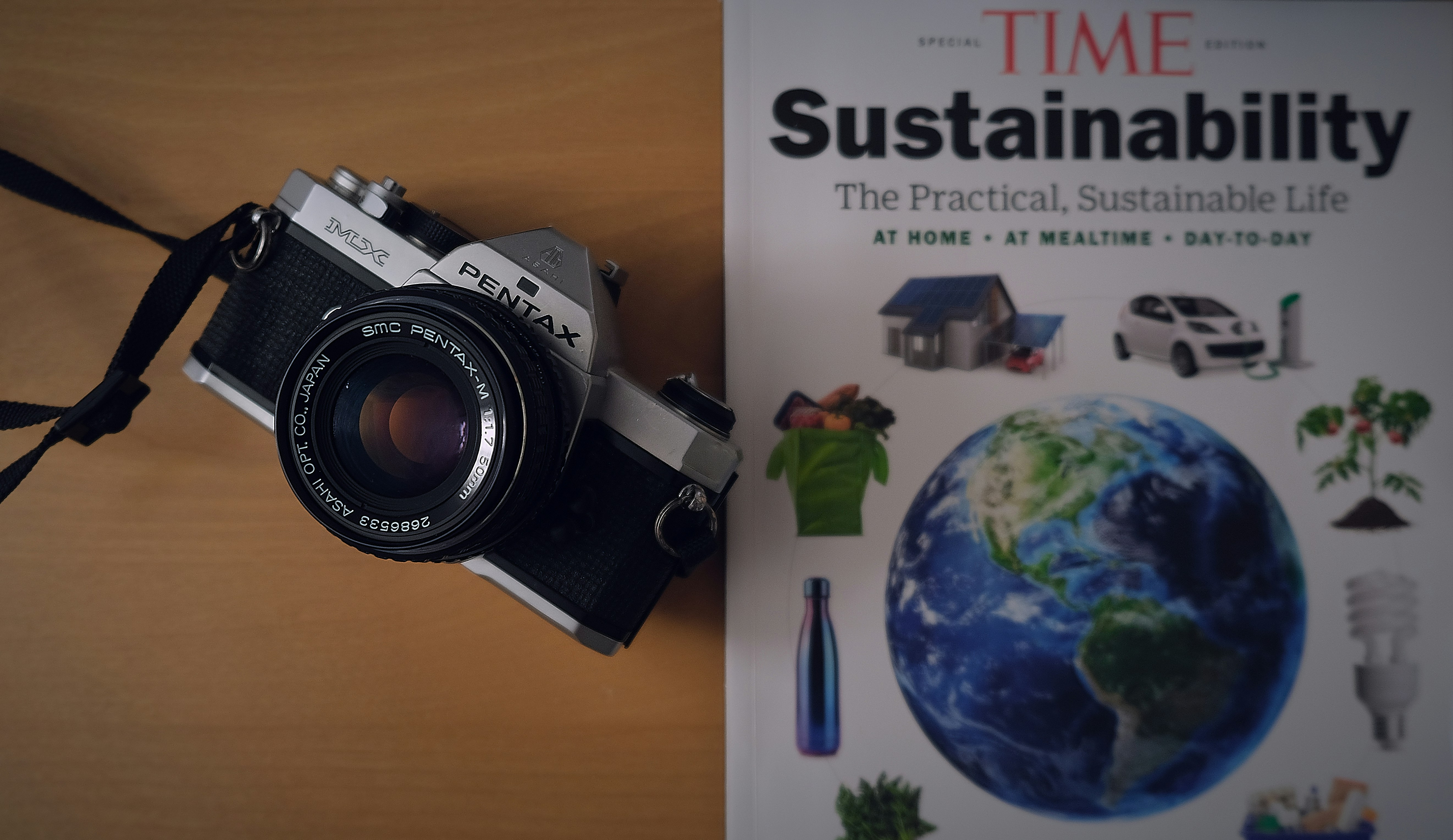 sustainable coaching