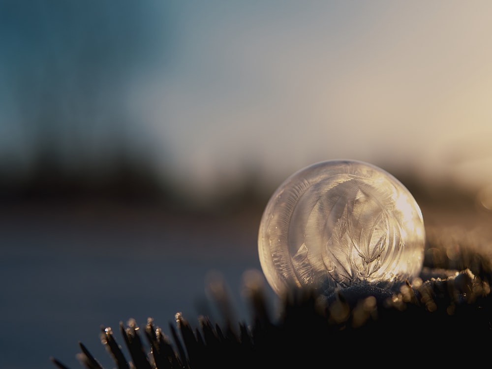 clear glass ball on black brush