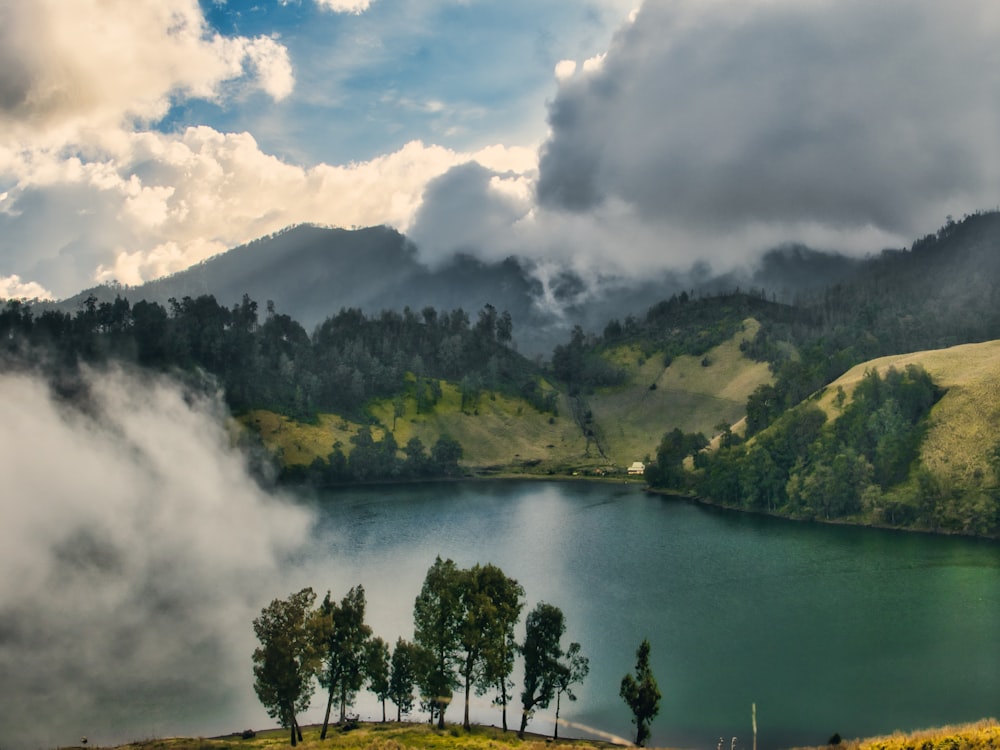 green trees near lake under white clouds and blue sky during daytime