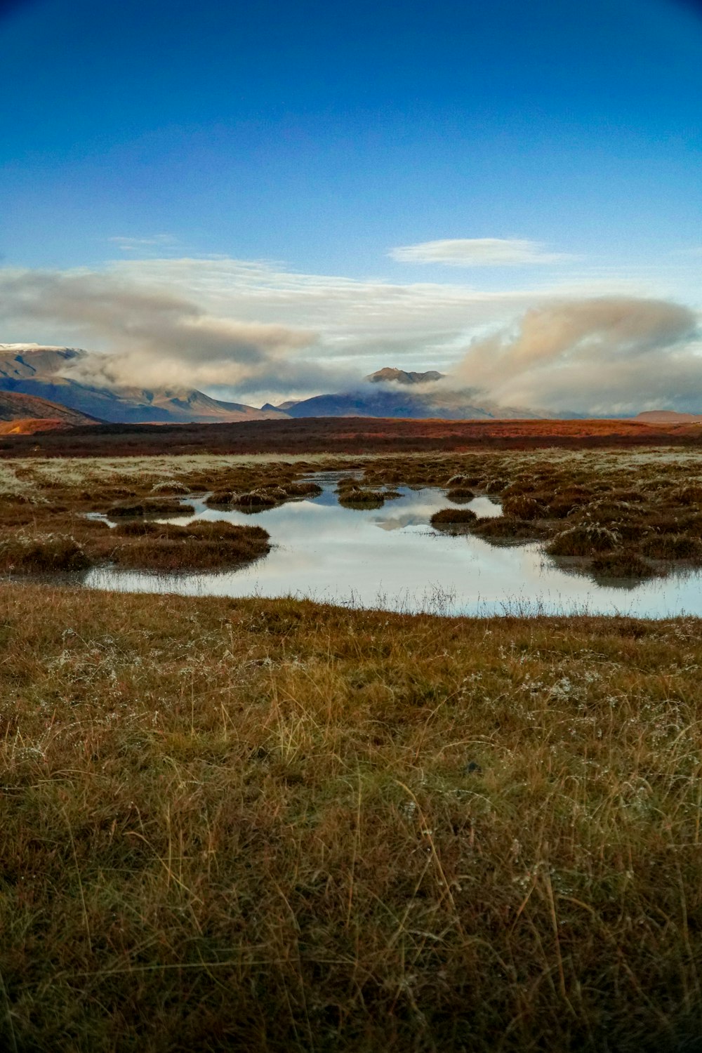 campo di erba marrone vicino al lago sotto il cielo blu durante il giorno