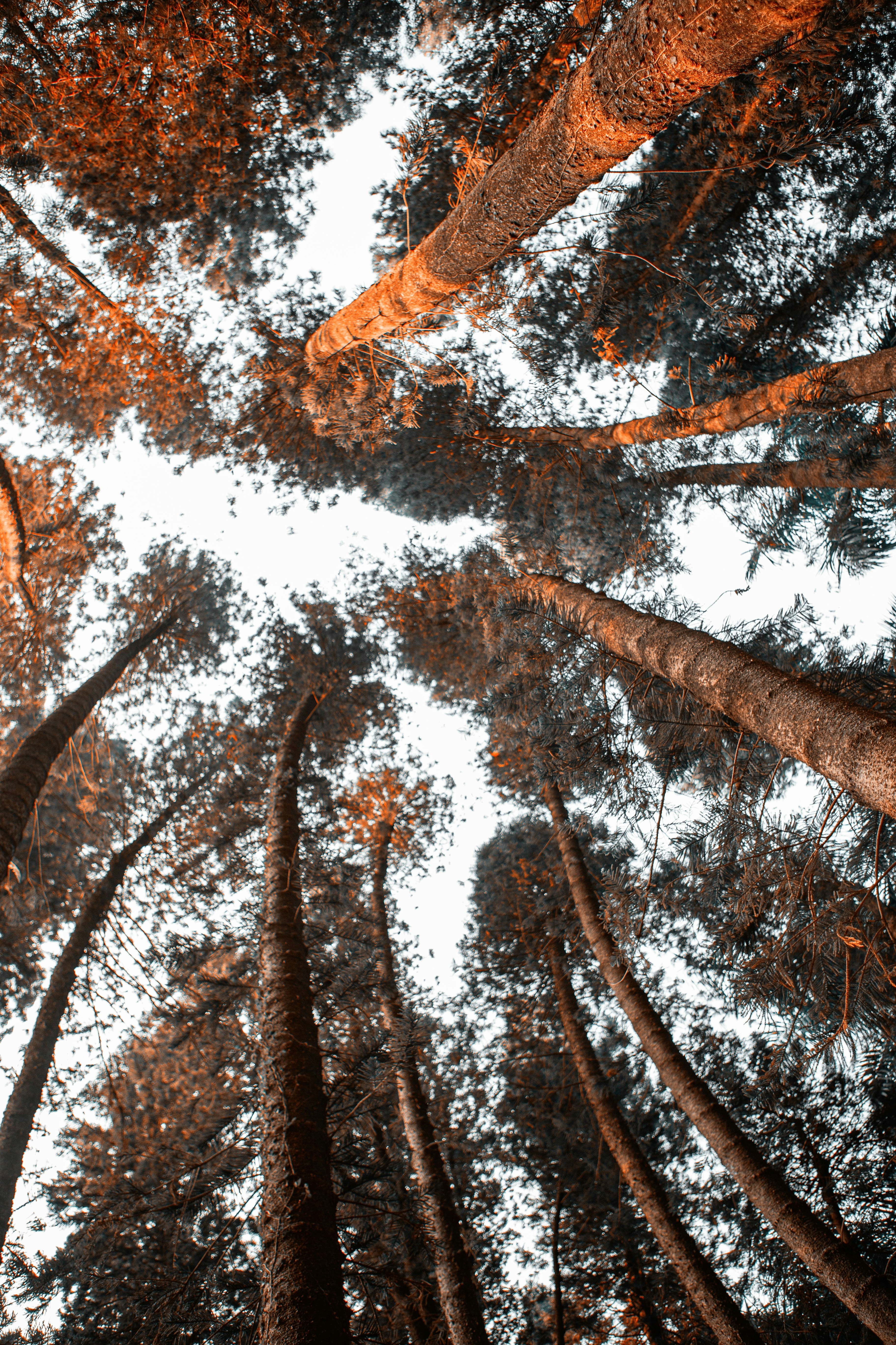 Photo by vinomamba24