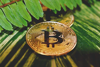 Gold-colored Bitcoin coins placed on a surface with green leaves and plant textures in the background, creating a natural, earthy contrast to the digital currency.