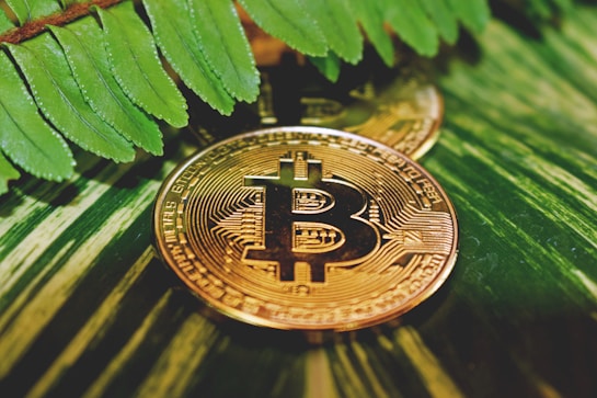 Gold-colored Bitcoin coins placed on a surface with green leaves and plant textures in the background, creating a natural, earthy contrast to the digital currency.