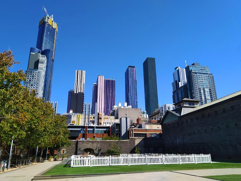 city buildings under blue sky during daytime