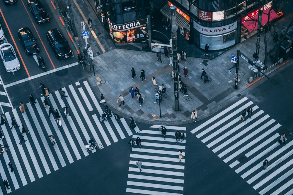 people walking on pedestrian lane during daytime