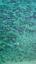 A sleek seabob gliding through clear turquoise waters.