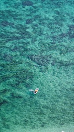 A sleek seabob gliding through turquoise waters.