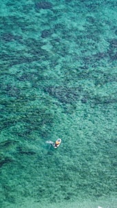 A sleek seabob gliding through turquoise waters.
