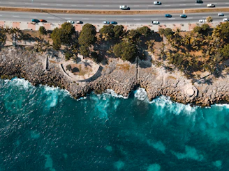 aerial view of green and brown island