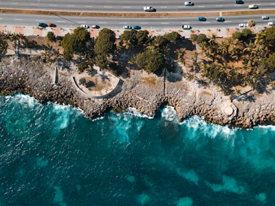 aerial view of green and brown island