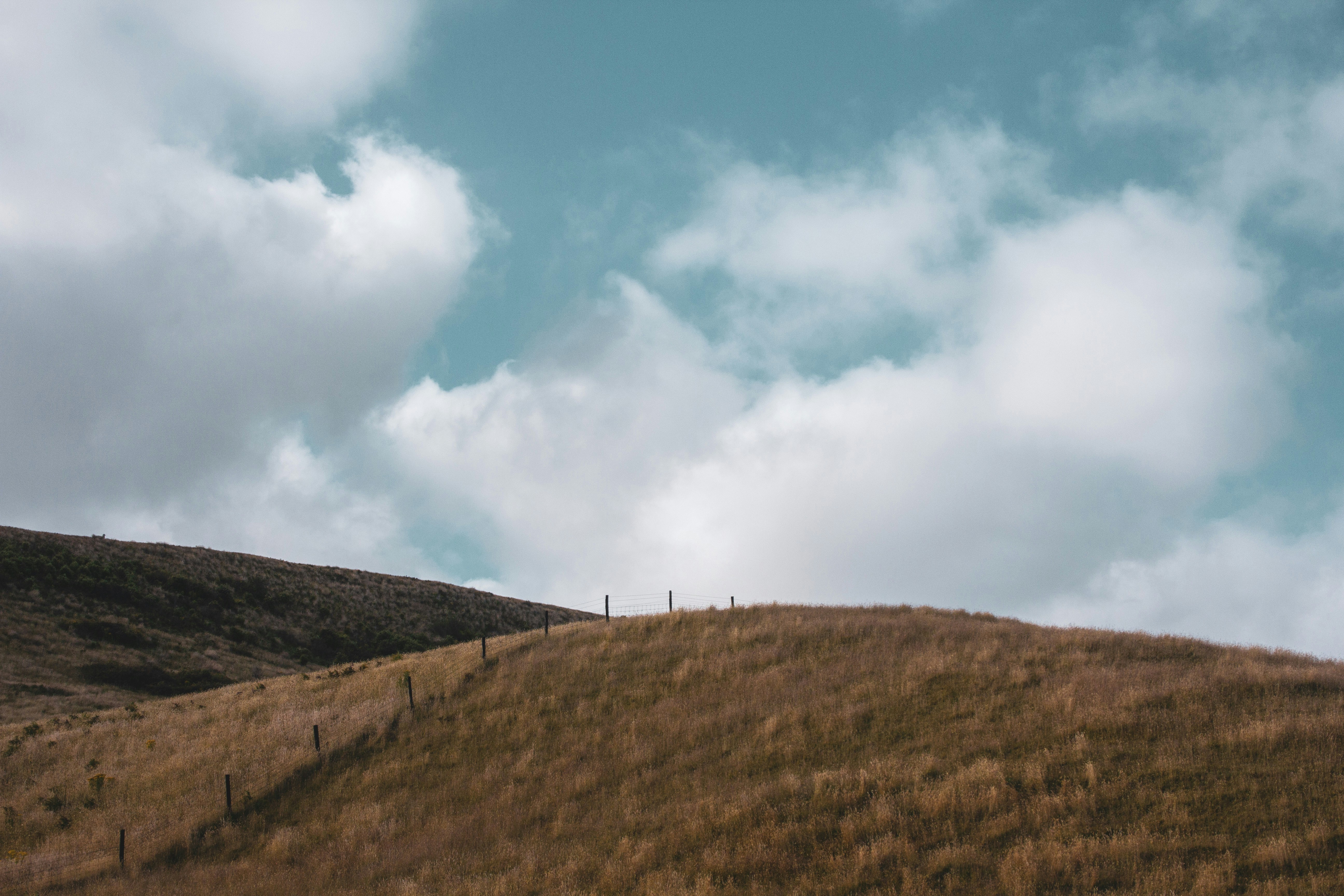 Photo by nao_takabayashi