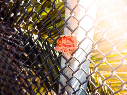 A torn red and white sticker is affixed to a metal pole that is part of a chain-link fence. Sunlight filters brightly through the fence, illuminating some palm fronds in the background.