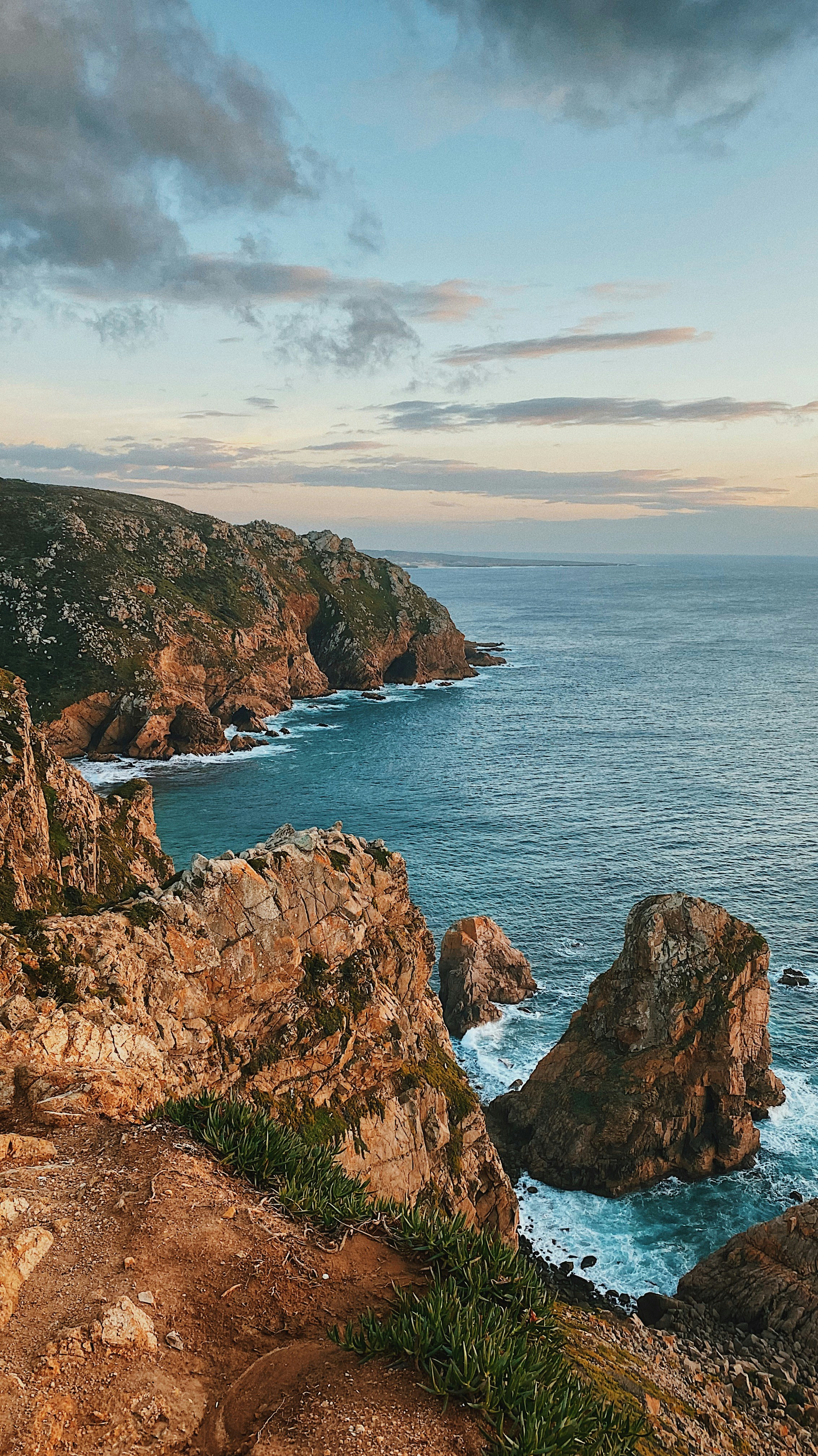 Photo by viniciusmorandi