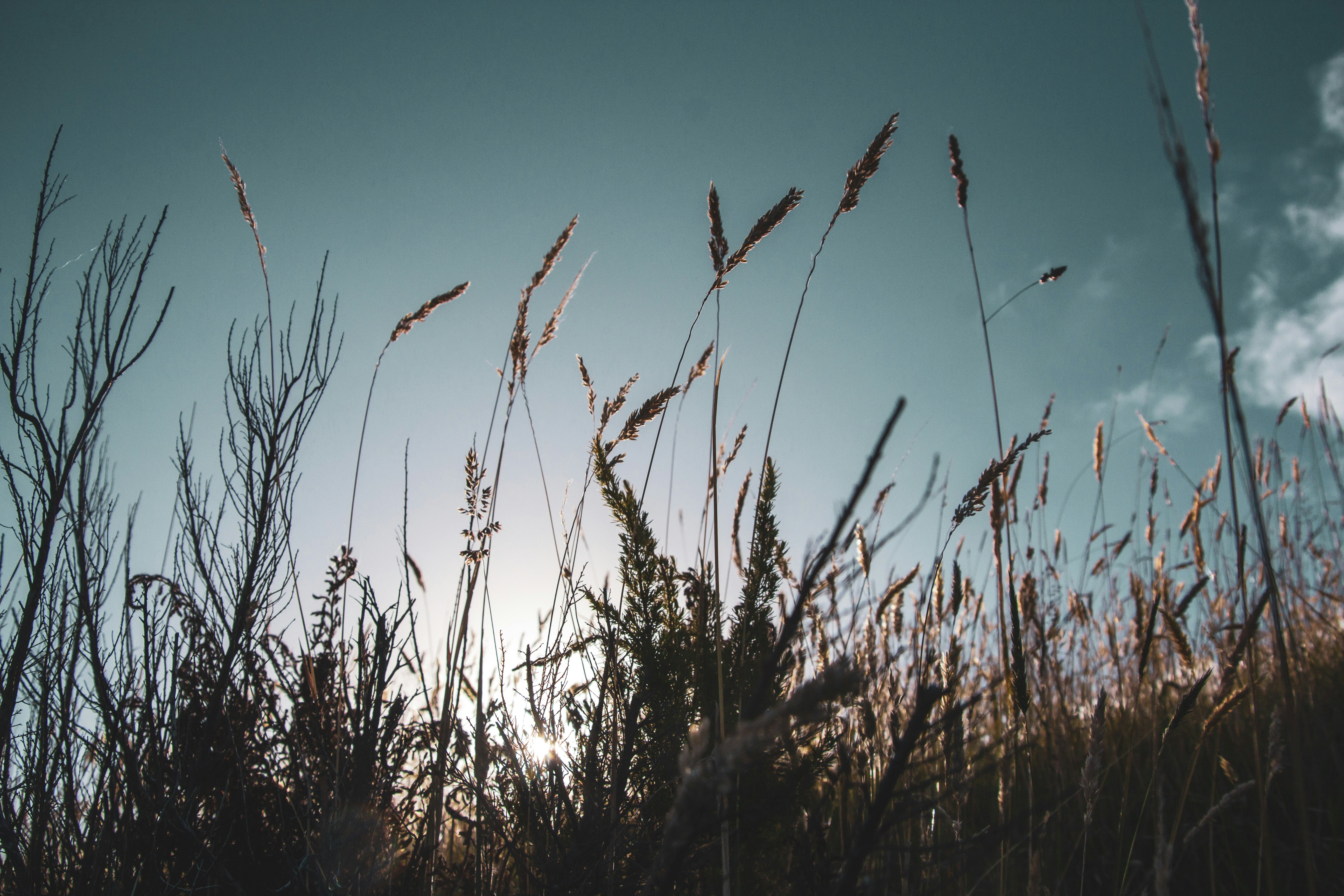 Photo by nao_takabayashi