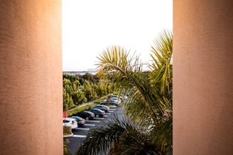 cars parked on parking lot during daytime