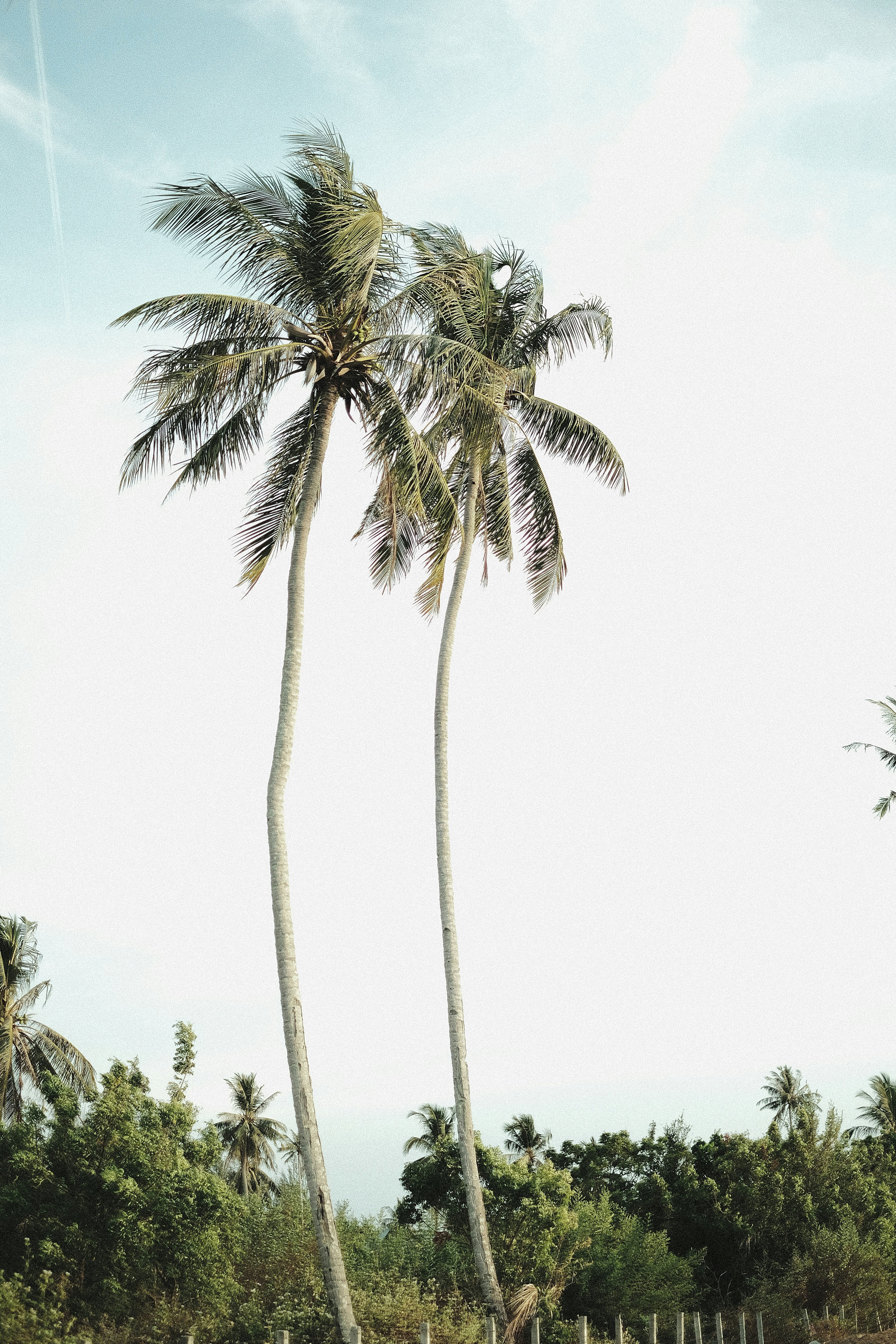 Photo by arifuddinrahmad