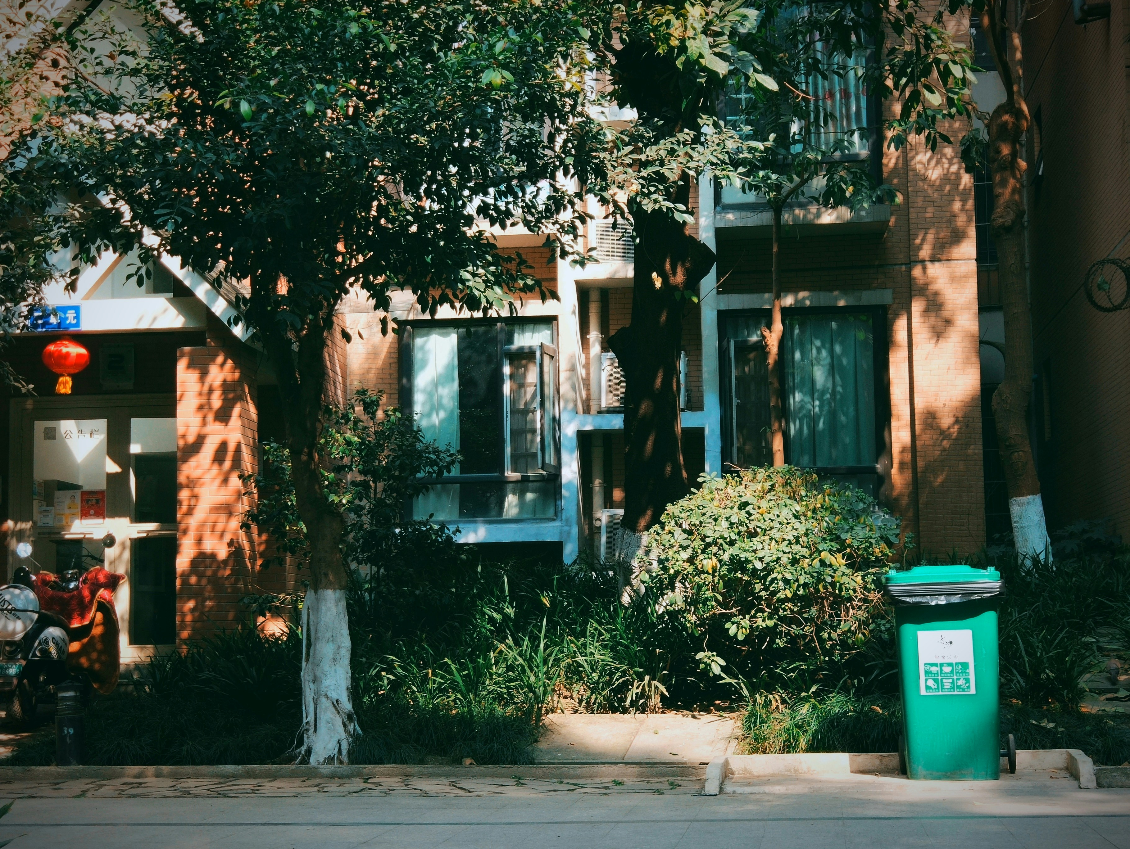 8 Reasons Eco-Cleaning Makes Financial Sense for Homeowners