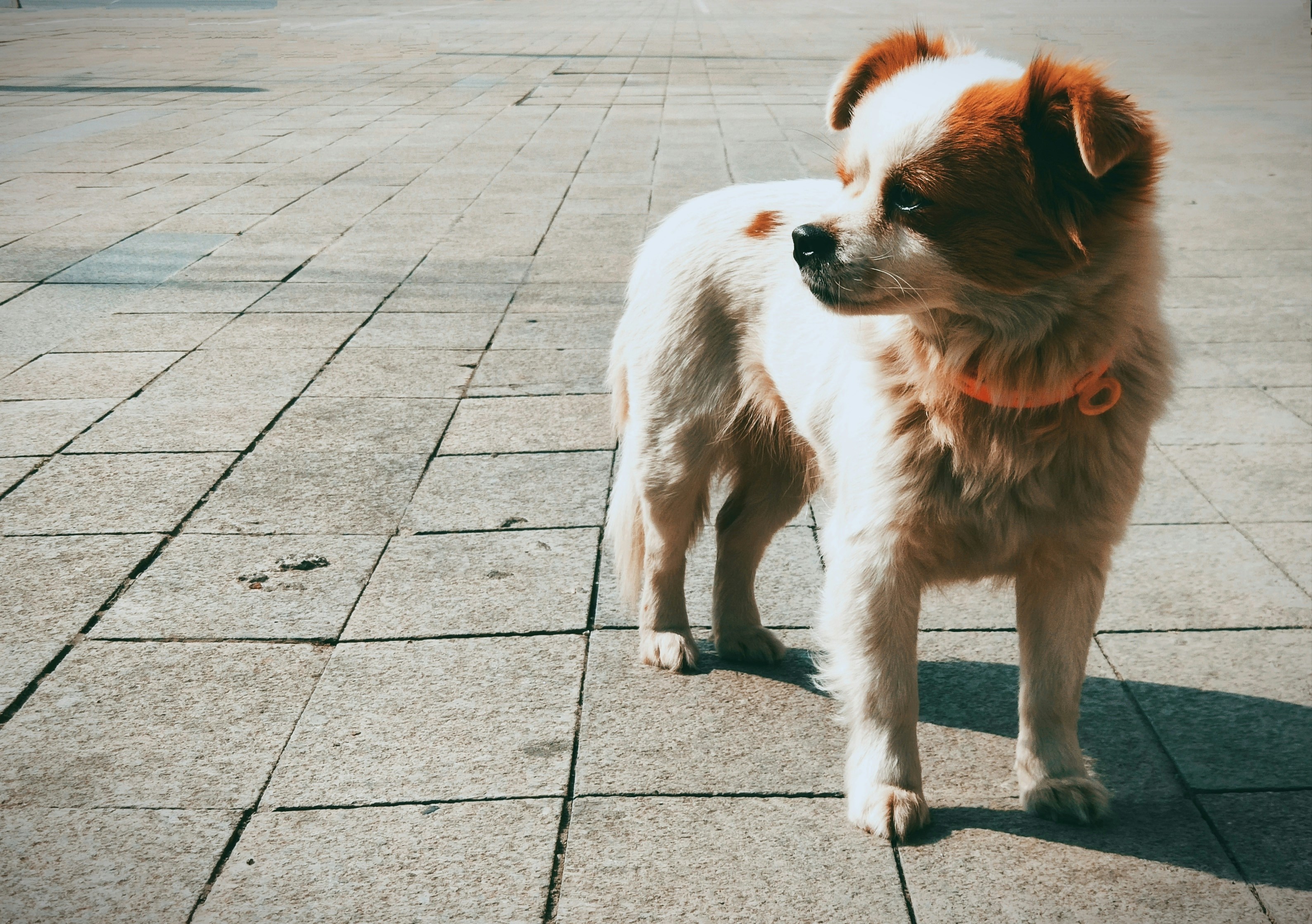 Photo by pestahdurbs