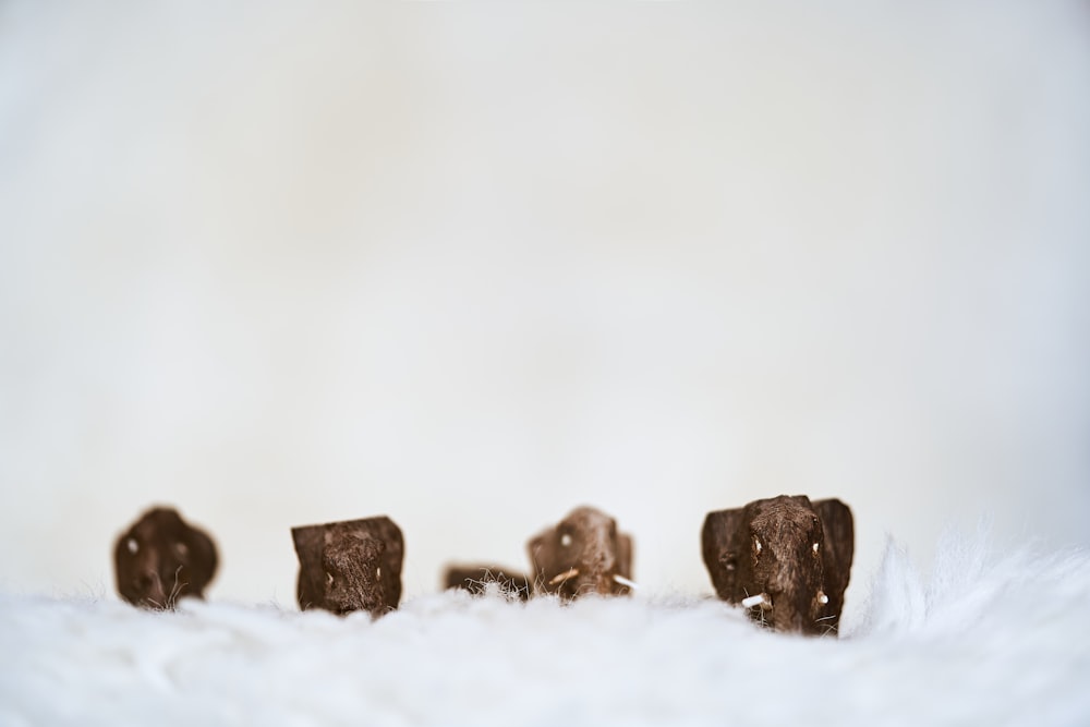 brown animal on snow covered ground